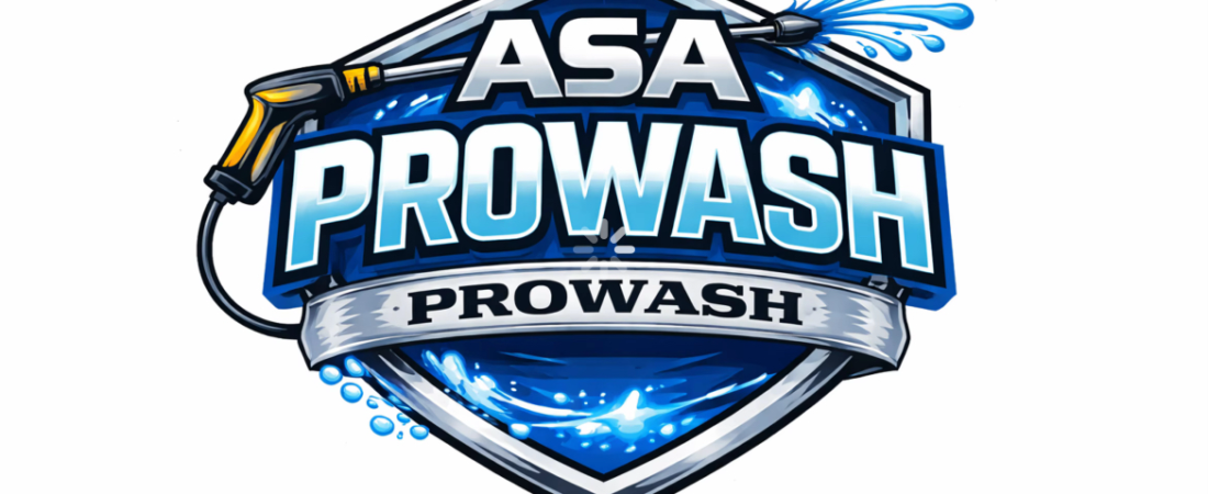 ASA ProWash